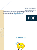 Abordarea psihopedagogică a problemelor de comportament- Agresivitatea.pptx