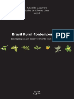 Brasil rural contemporâneo estratégias para o desenvolvimento rural de inclusão.pdf