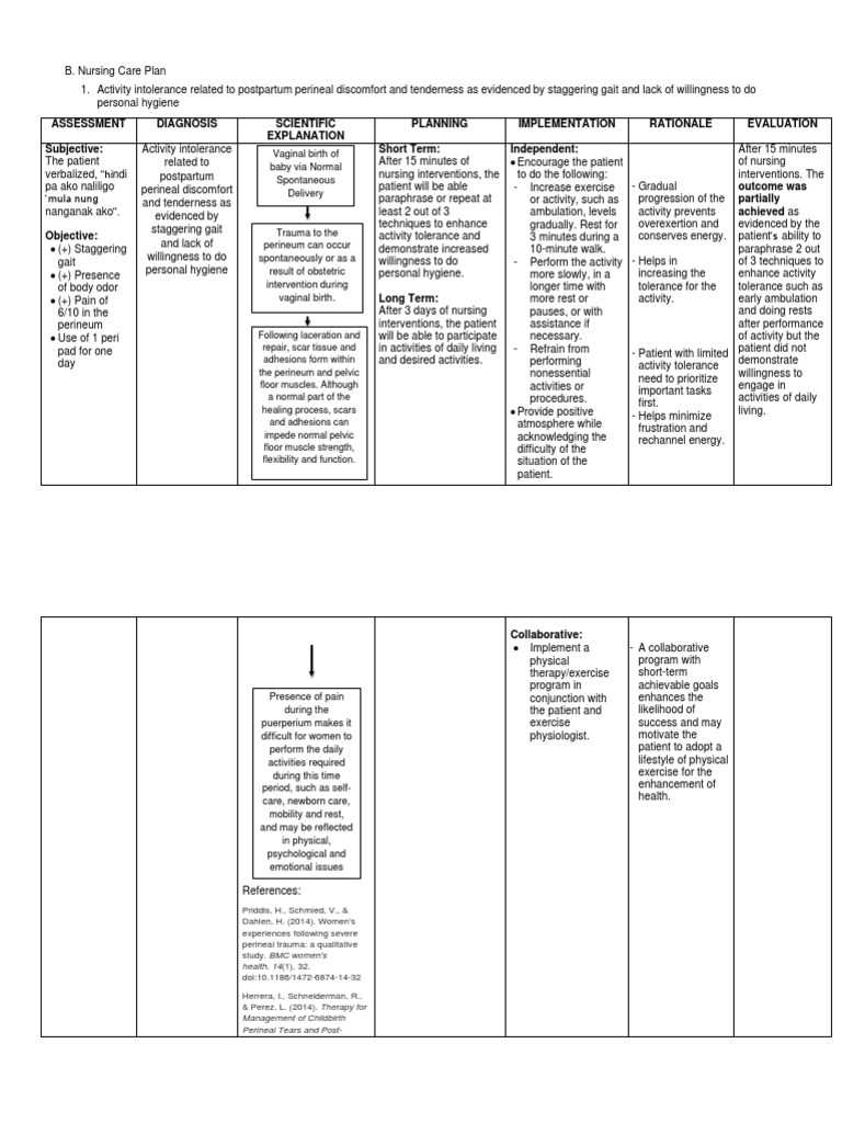 Postpartum Nursing Care Plan Guide | PDF