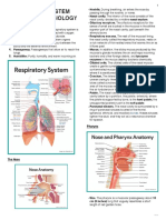 MS Respiratory System A&P PDF