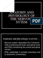Anatomy and Physiology of The Nervous Sytem