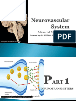 Neurovascular System