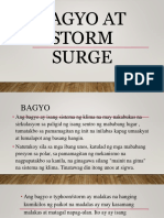 Bagyo at Storm Surge1