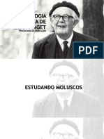 A epistemologia genética de Jean Piaget e os estágios do desenvolvimento cognitivo