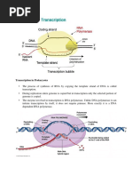 Transcription in Prokaryotes