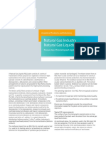 Siemens Analysers PDF