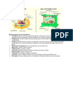 Gambar Bagian-Bagian Sel Dan Fungsinya