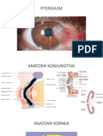 BST 1-Pterigium