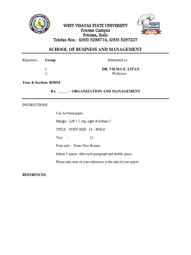 Organization and Management Report Guidelines | PDF