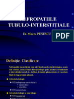 9.1. Nefropatii tubulo-interstitiale 1.ppt