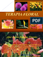 TerapiaFloral 1 Introducción