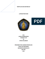 Laporan Praktikum TPB Morfologi Dan Anatomi Biji