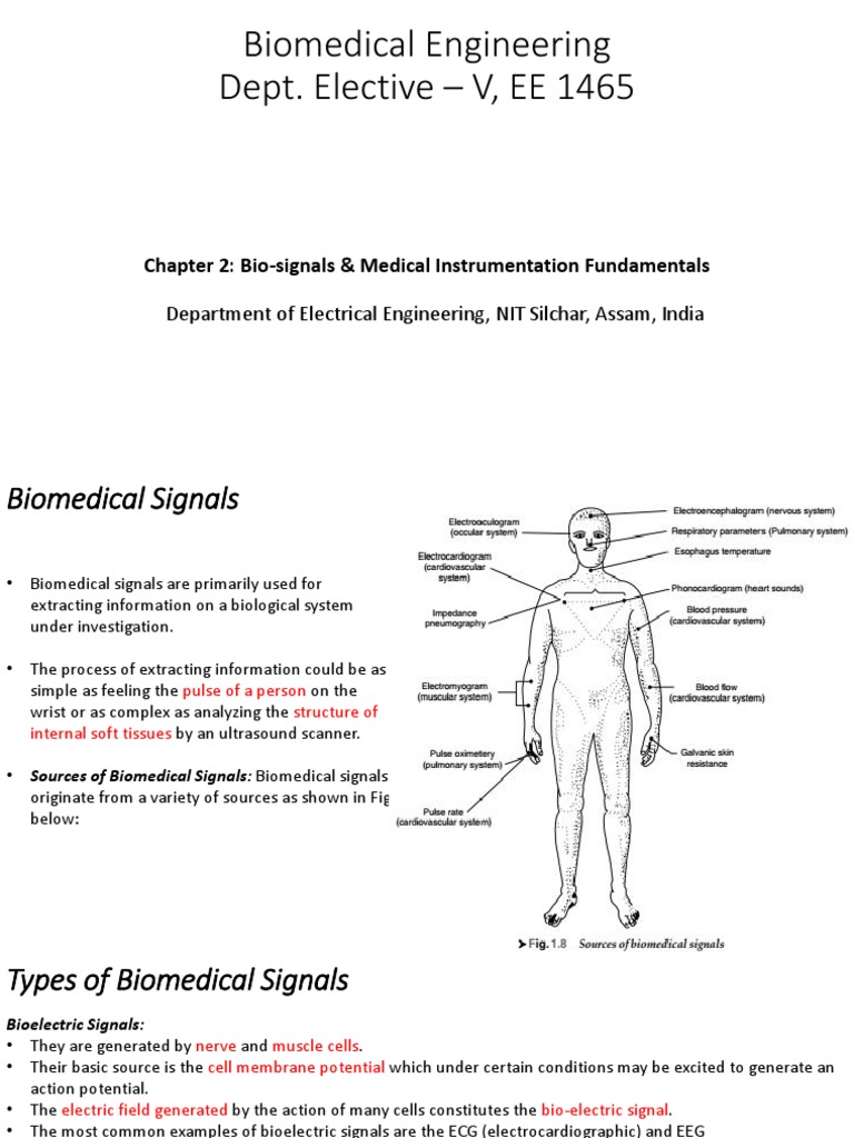 Ch2 Biosignals | PDF