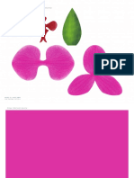 PinkPaperOrchid.pdf