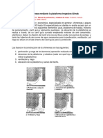 Construcción de chimeneas mediante la plataforma trepadora Alimak