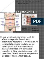 Regiunile Abdomenului