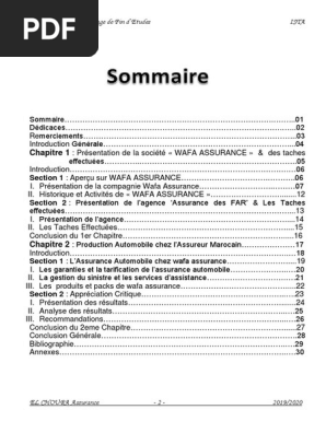Raport De Stage Pdf