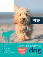 Dog - How To Take Care of Your Dog Booklet - Secure