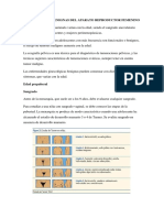 Informe de enfermedad puberales