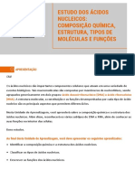 Trilha - Estudo Dos Ácidos Nucleicos - Composição Química - Estrutura - Tipos - de - Moléculas - e - Funções