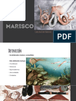 Marisco 2 PDF