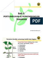 Vi. Pertumbuhan Dan Perkembangan