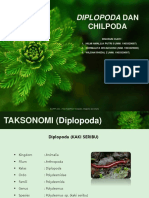 Diplopoda Dan Chilopoda
