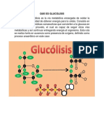 Que Es Glucolisis