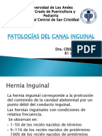 Hernia inguinal y otras patologías pediátricas en la región inguinoescrotal