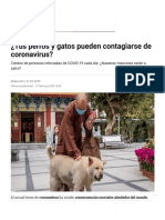 ¿Tus perros y gatos pueden contagiarse de coronavirus_