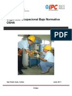 2manual de Seguridad y Salud Ocupacional Formato Nuevo PDF