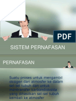 SISTEM PERNAFASAN.pptx