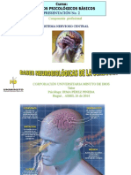 PRESENTACIÓN CEREBRO Y SUS PARTES - PPT Versión 1