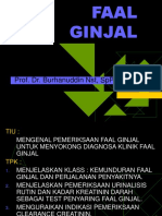 FAAL GINJAL (Autosaved)