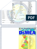 Dsmea Programme