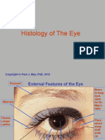 Histology of The Eye