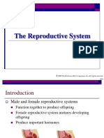 10 Reproductive System