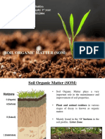 Soil Organic Matter PDF