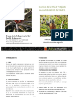 Triptico Pina Tropical para Web en PDF PDF