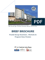 Brief Brochure PDF
