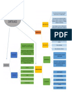 Mapa Conceptual