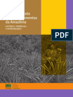 Desmatamento-nos-Assentamentos-da-Amazônia.pdf