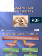 Biomagnetismo en Mascotas