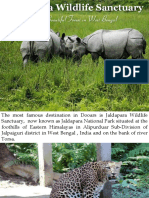 Jaldapara Wildlife Sanctuary - The Most Famous and Beautiful Destination in Dooars