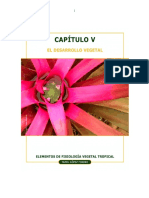 elementos_de_fisiologia_vegetal_Capitulo V