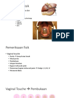 Pemeriksaan Fisik Obstetri