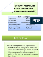 Analisis Senyawa Metabolit Sekunder Pada Biji Buah Alpukat