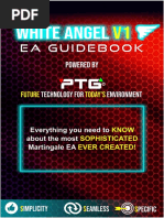 White Angel V1 Manual (22.2.2019) PDF