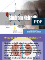 Nefrotik Syndrome 