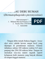 TUNGAU DEBU RUMAH DERMATOPHAGOIDES PTERONYSSINUS